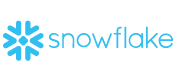 Snowflake Information Technology Partners logo