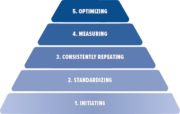 Portfolio Maturity Levels